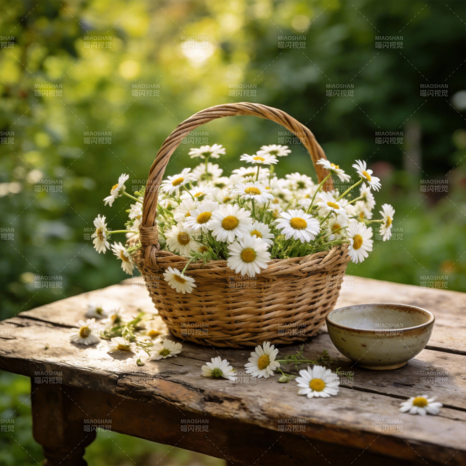 雏菊满篮 静谧田园图片