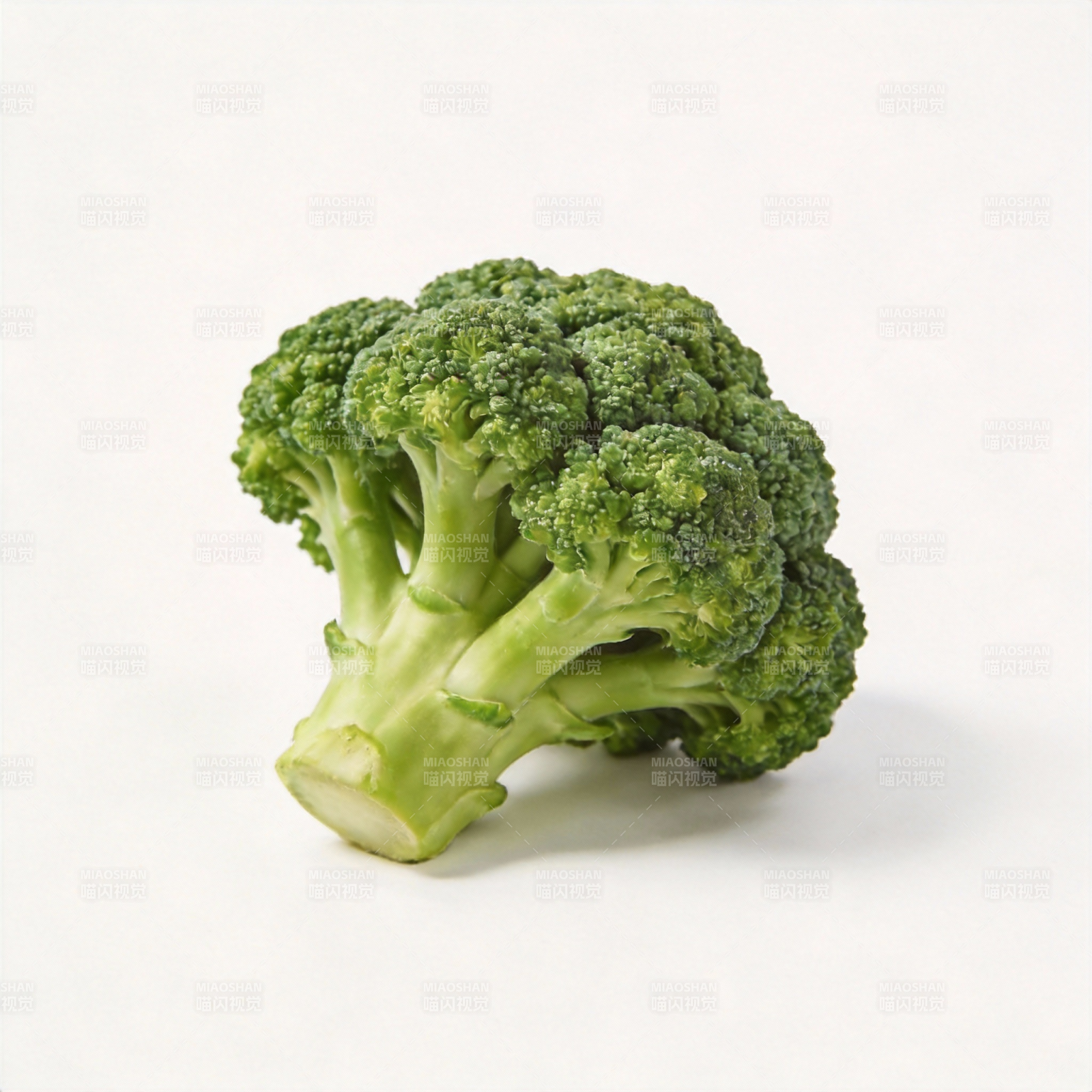 新鲜西兰花特写图片