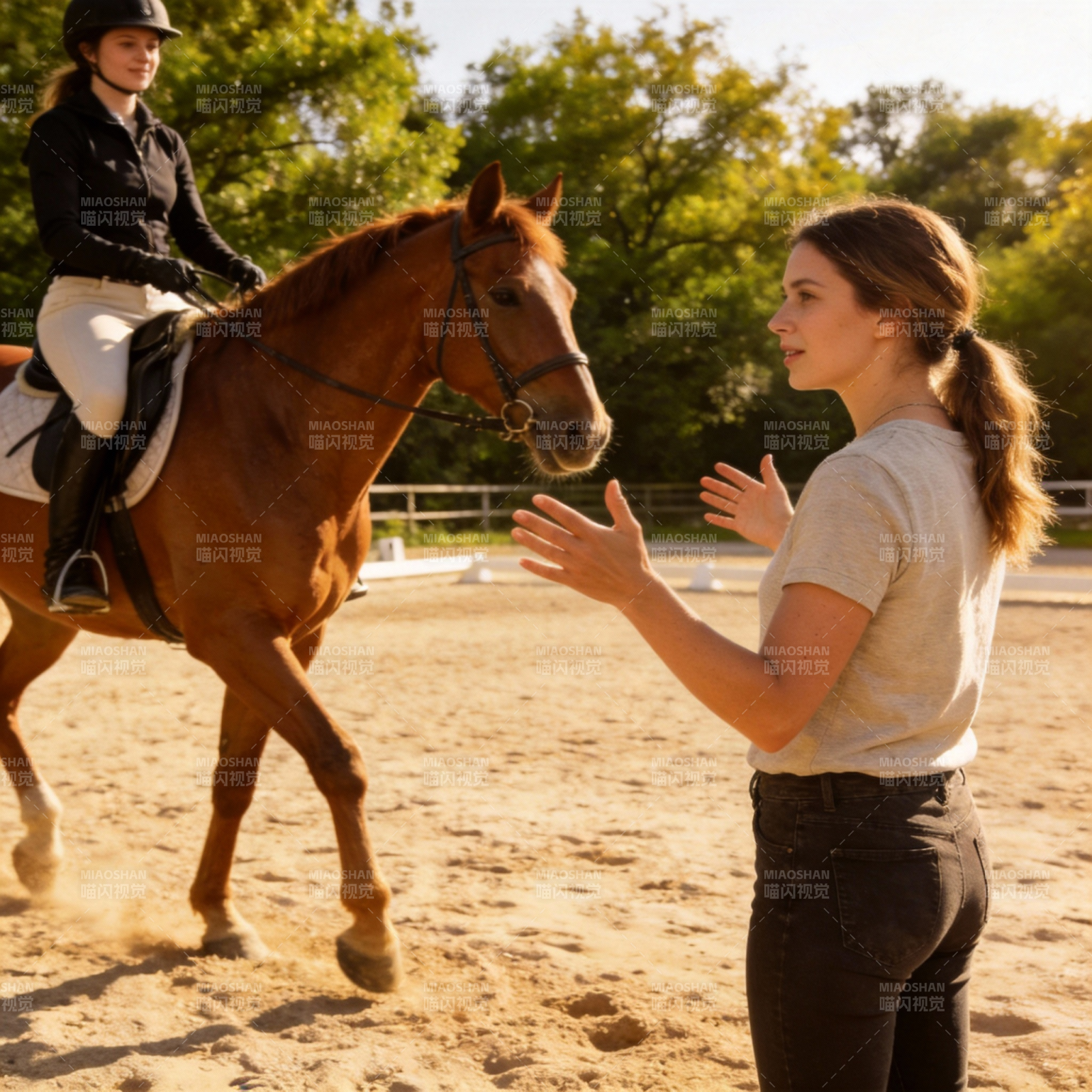 骑马训练指导图片