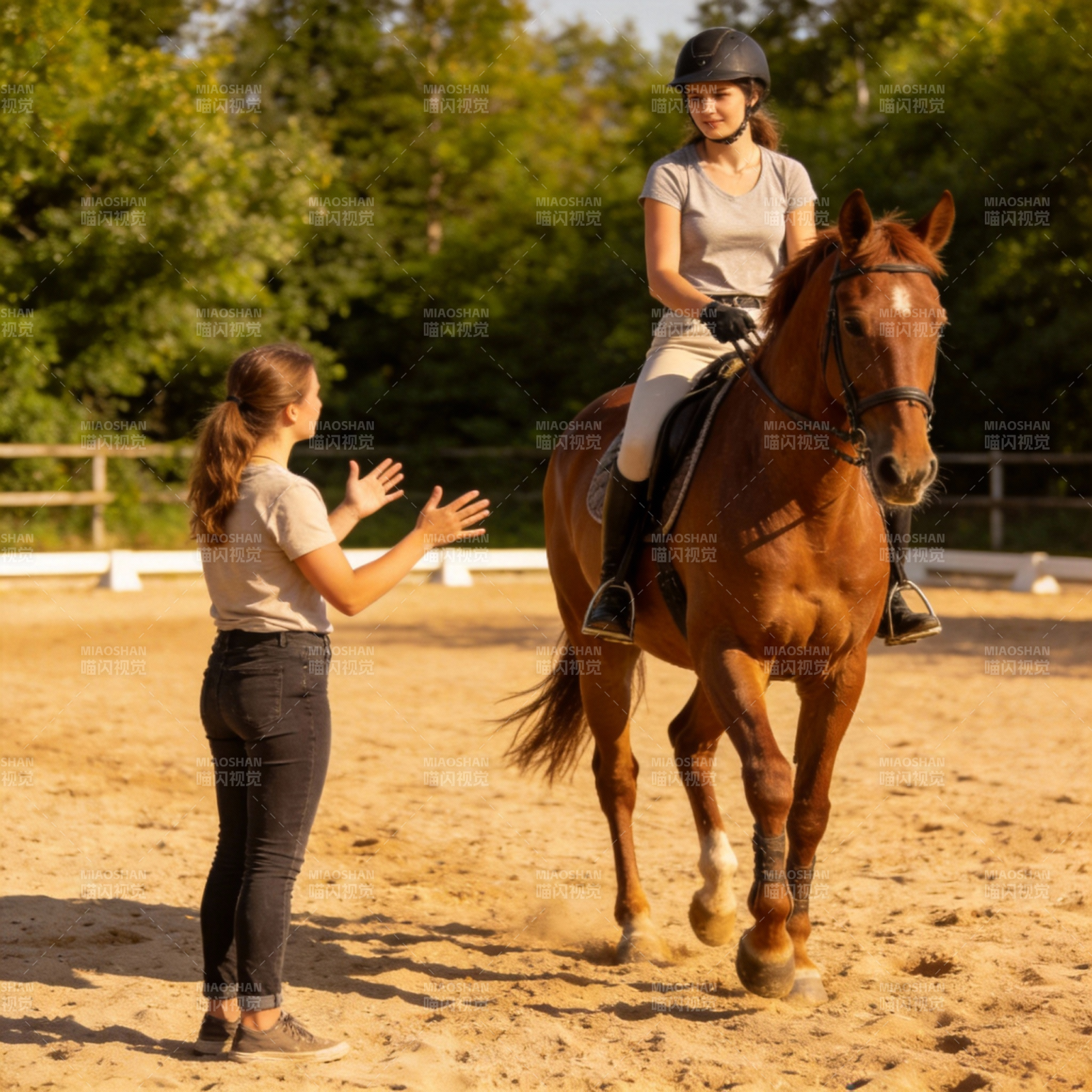 骑马训练现场图片