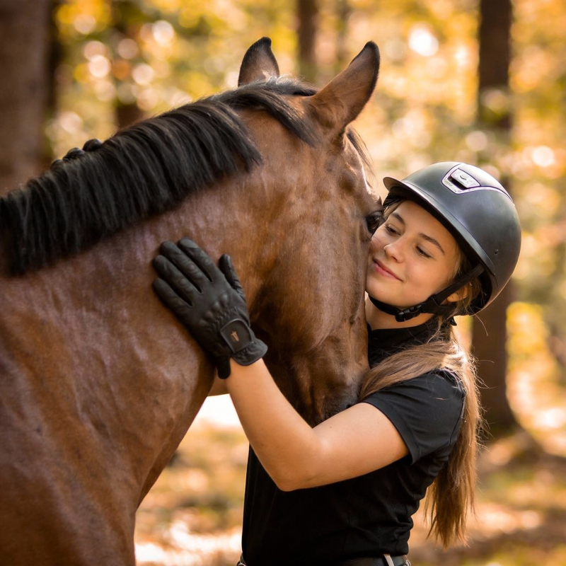 骑手与马亲密相拥图片