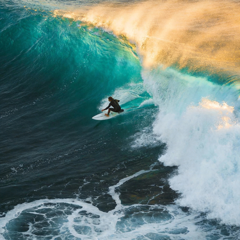 浪尖上的舞者图片