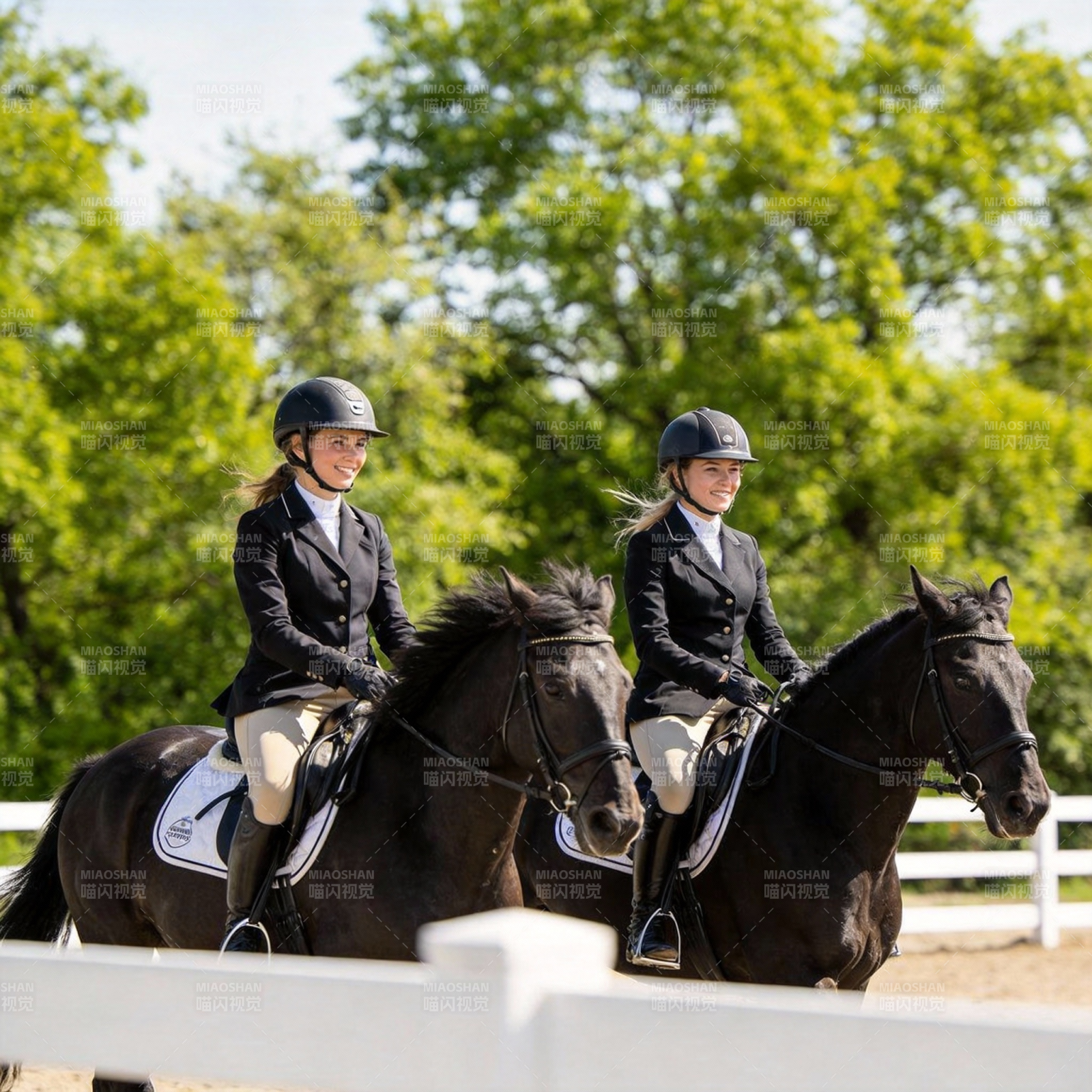 双骑共驰 绿意盎然图片