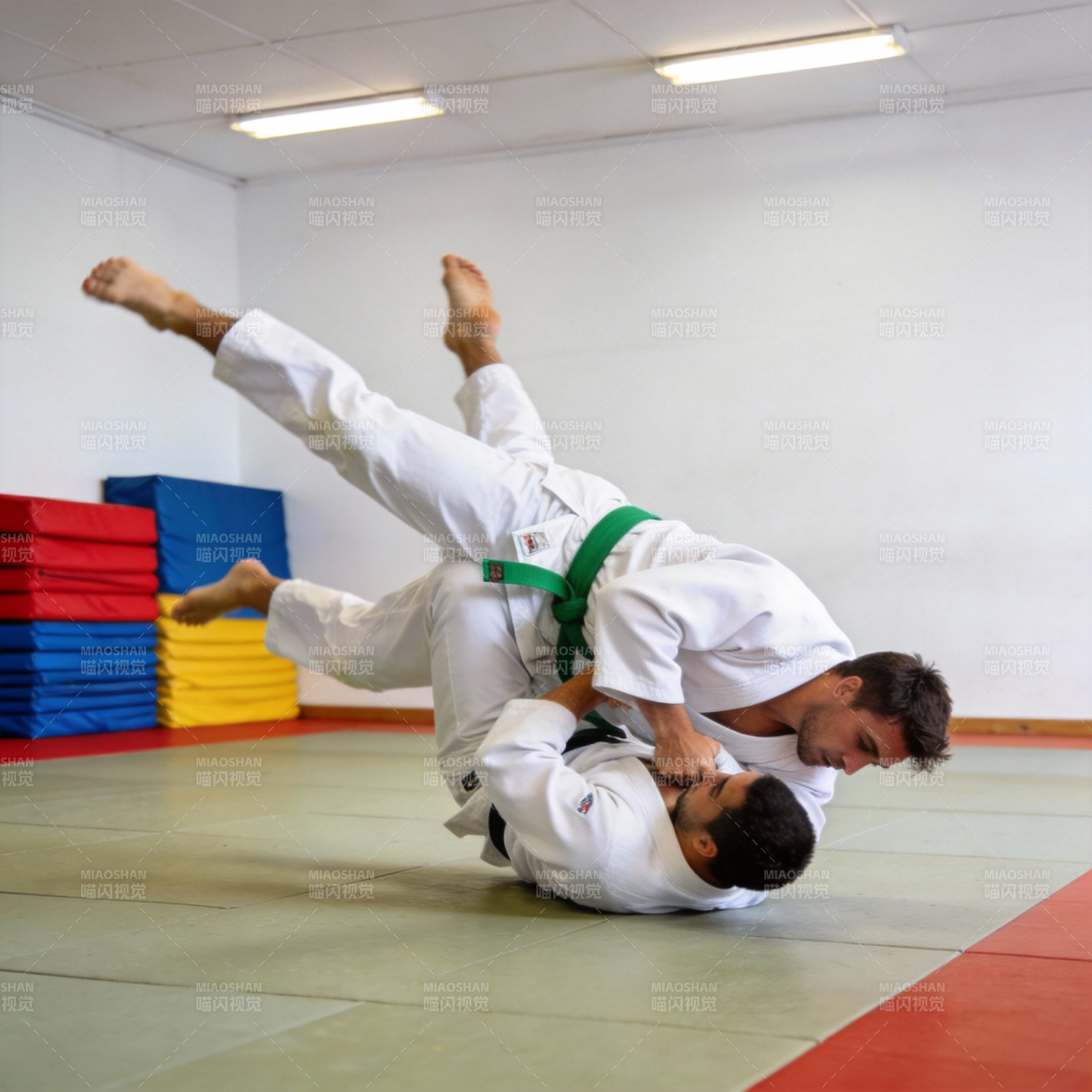 柔术对练瞬间图片