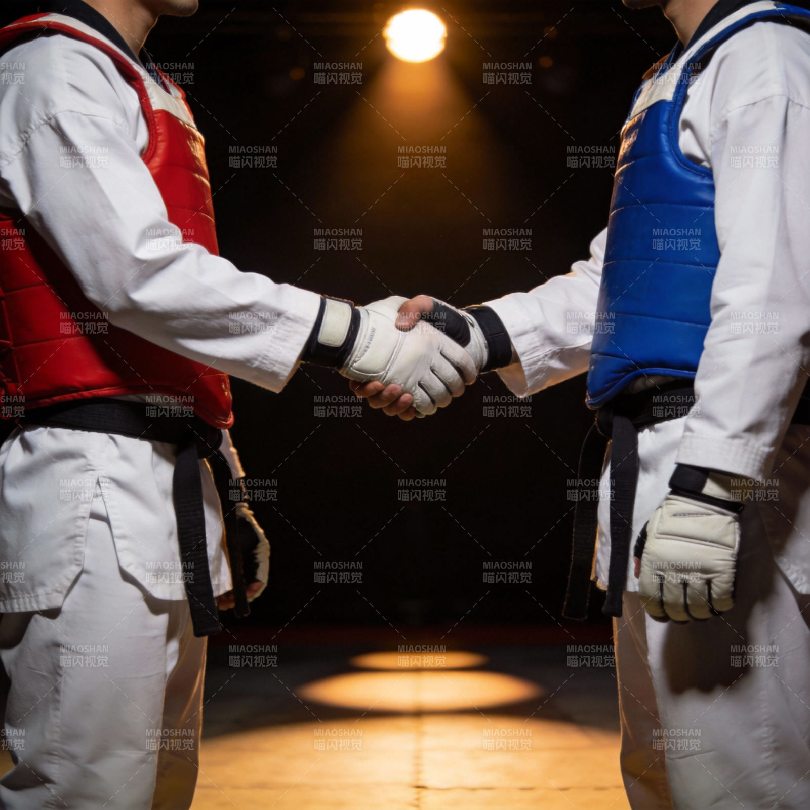 跆拳道对决前握手图片