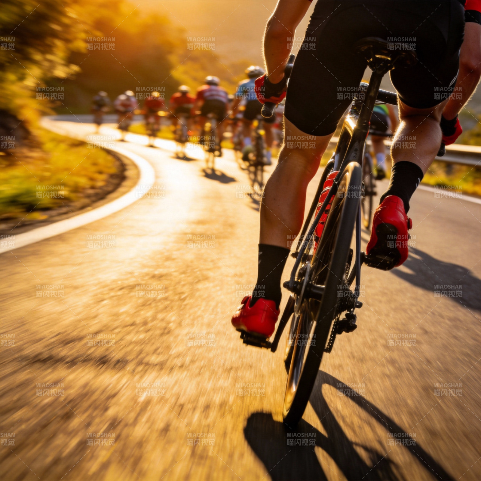 骑行追光图片