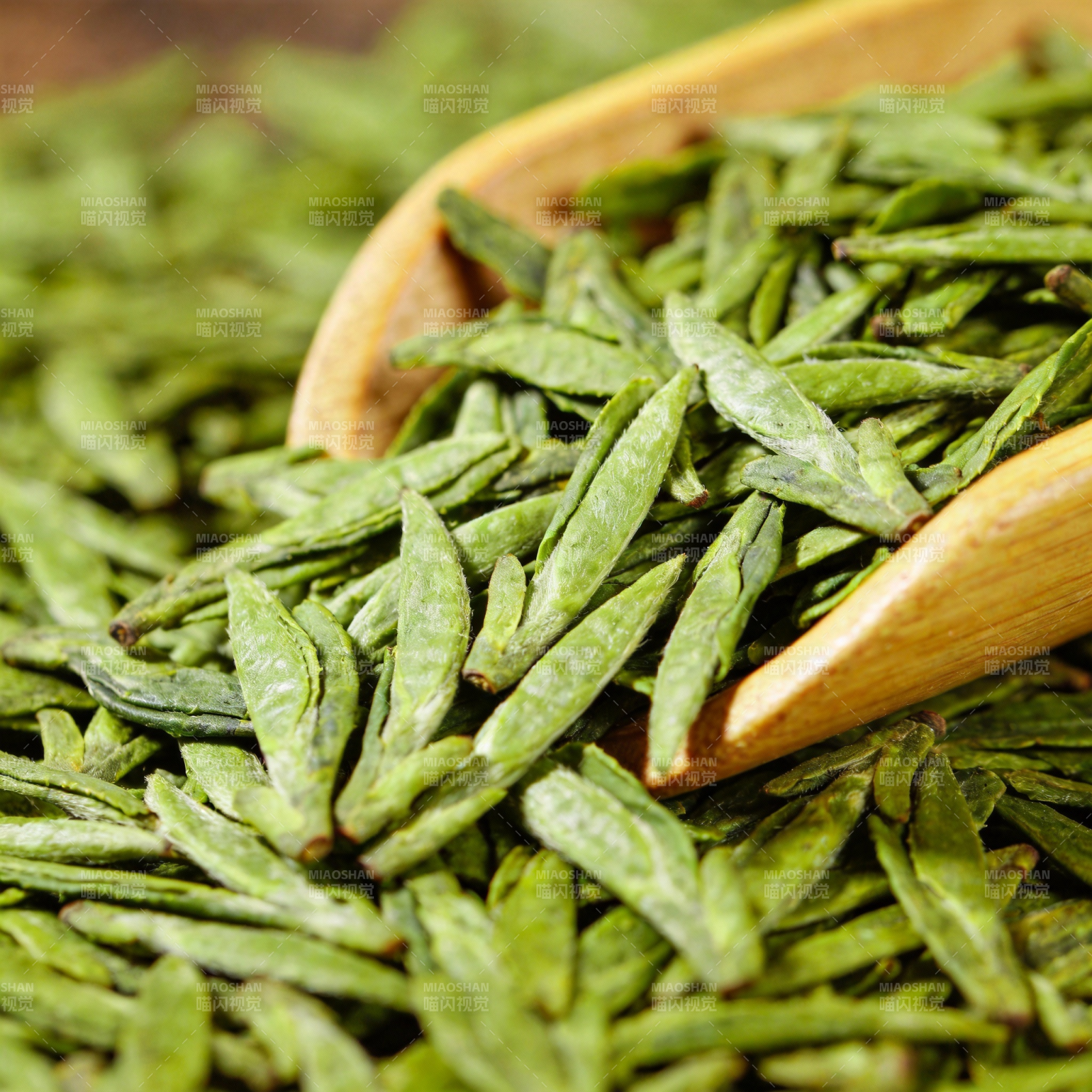 绿茶特写图片