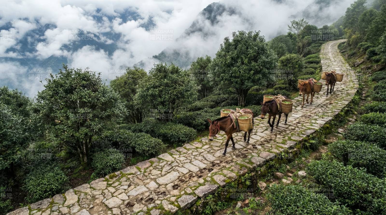 茶山古道驼铃声图片