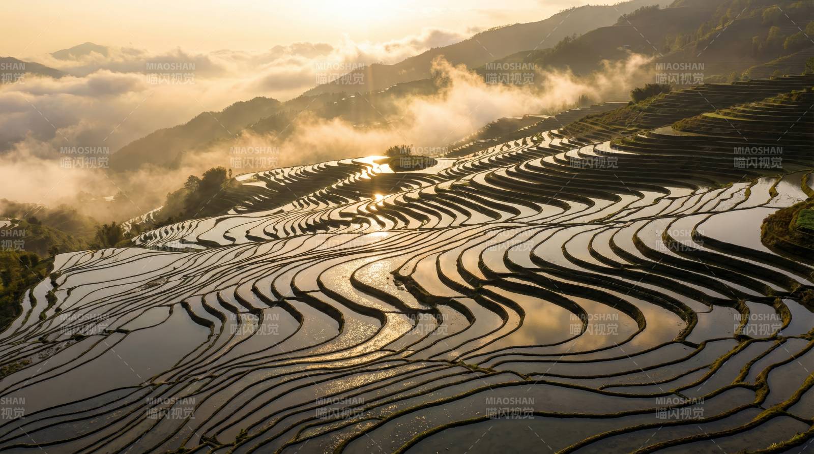 梯田晨曦图片