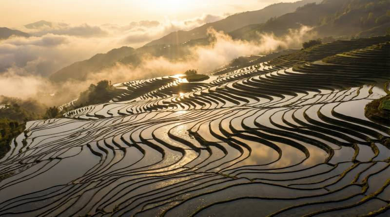 梯田晨曦图片