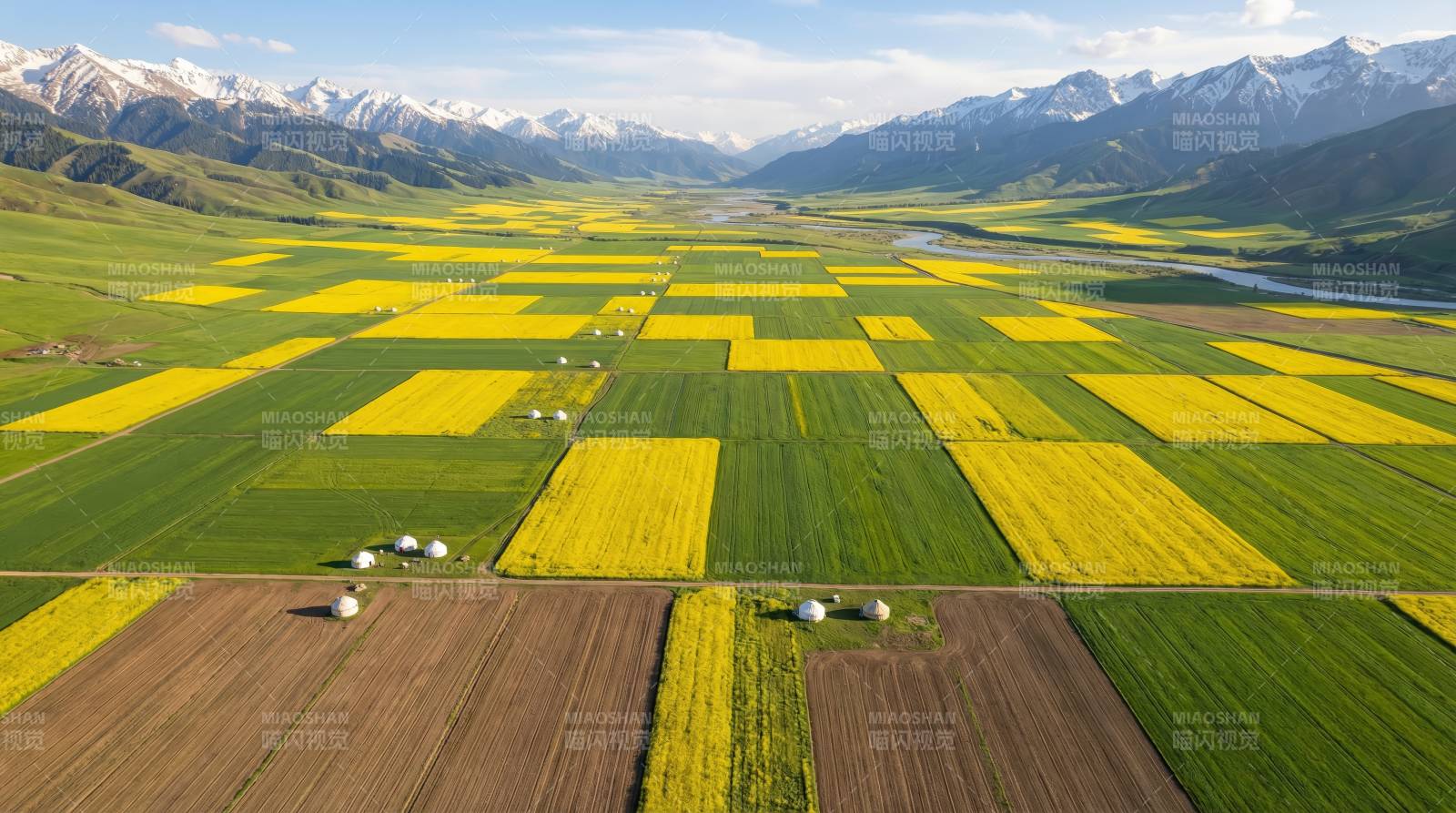 雪山下的花田画卷图片