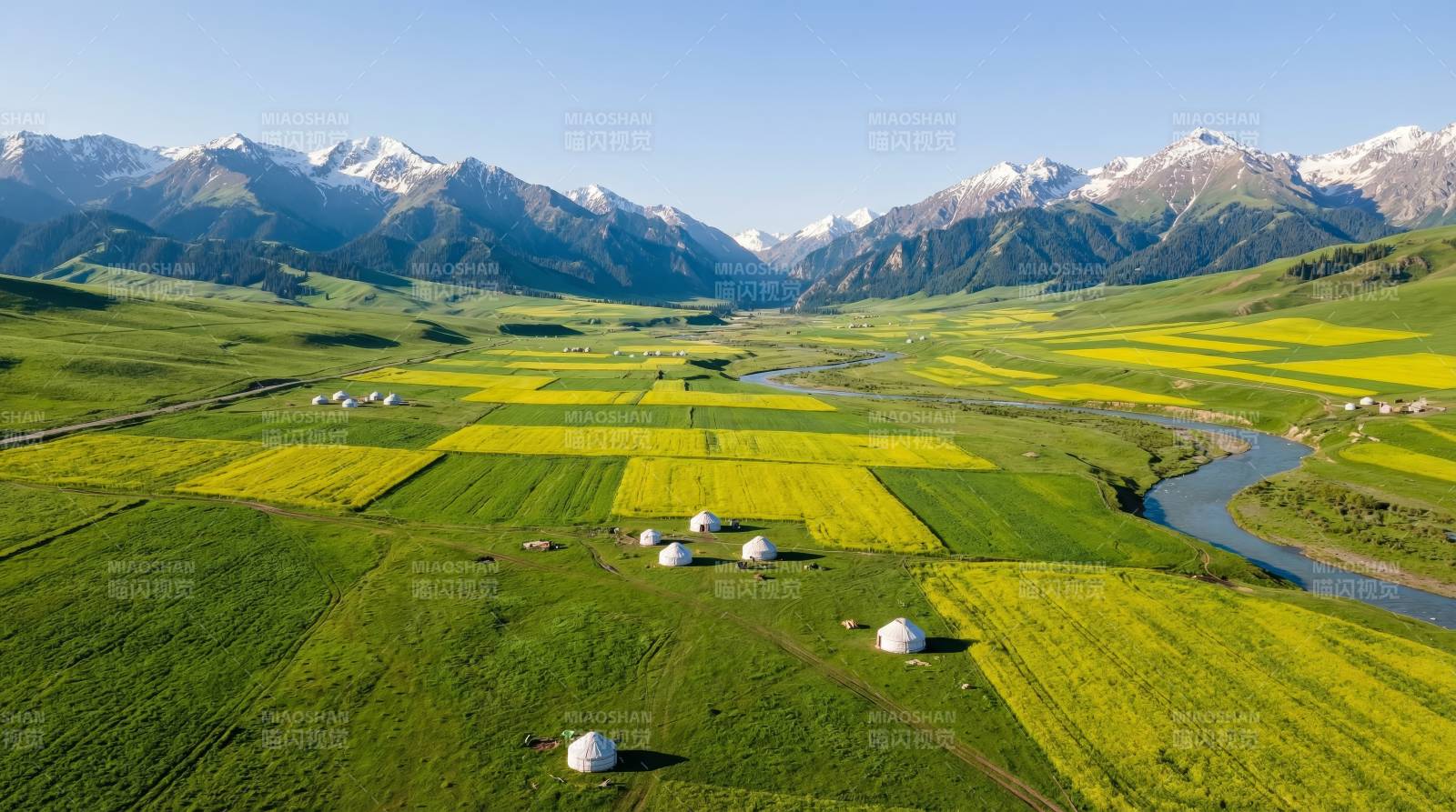 雪山下的油菜花田图片