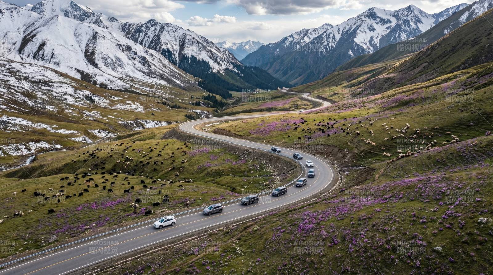 雪山公路花海行图片