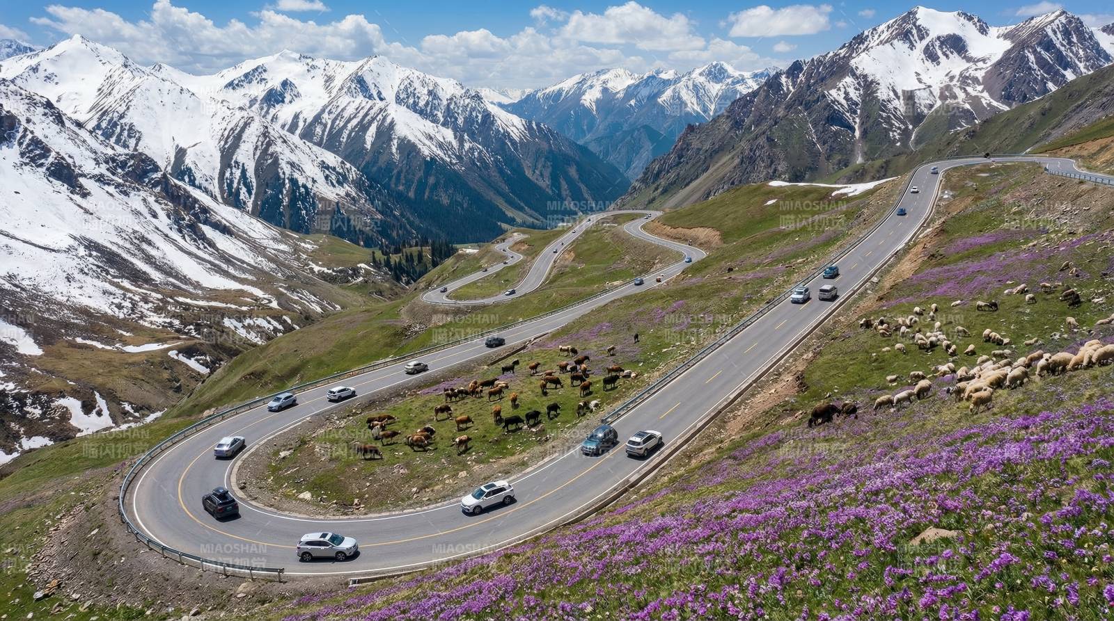 雪山公路花海行图片