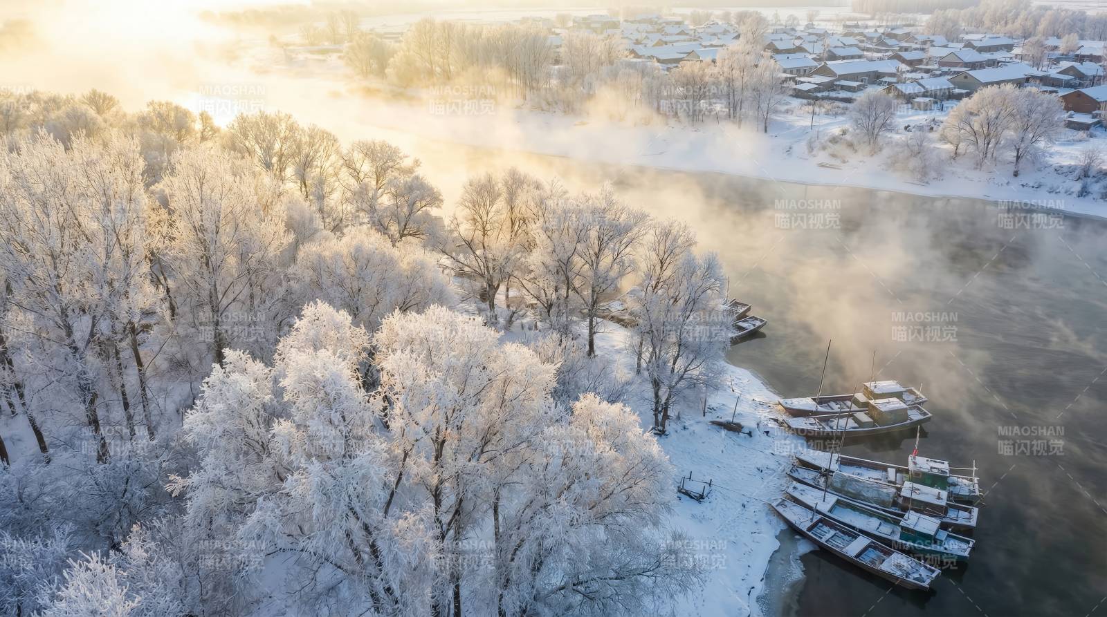 冬晨雾锁河岸图片