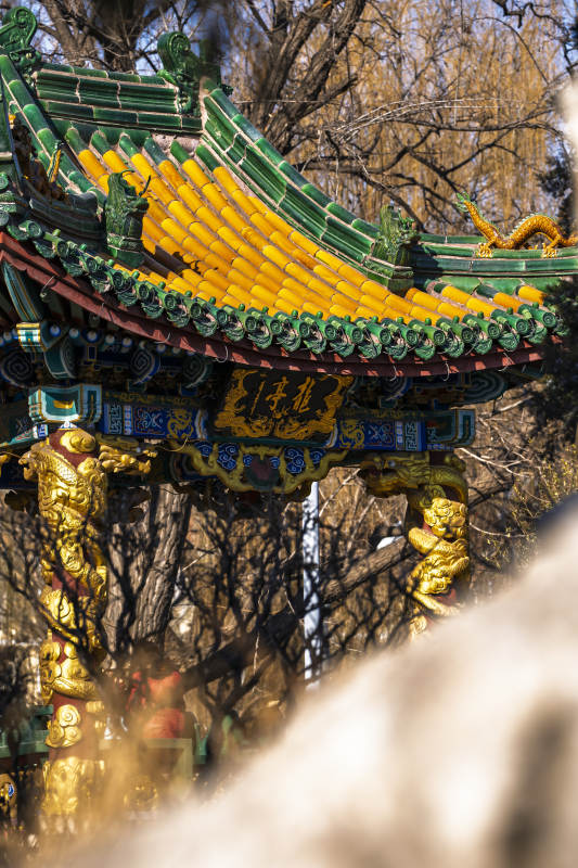 百龙庭古建筑飞檐翘角图片