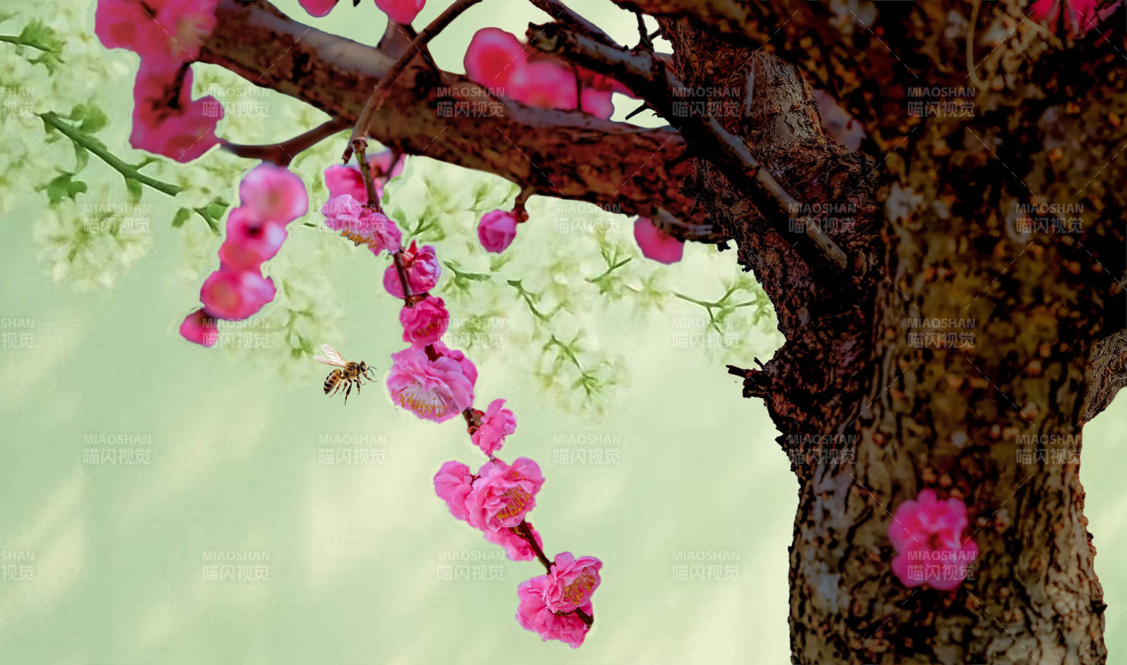 樱花树下蜂飞舞图片