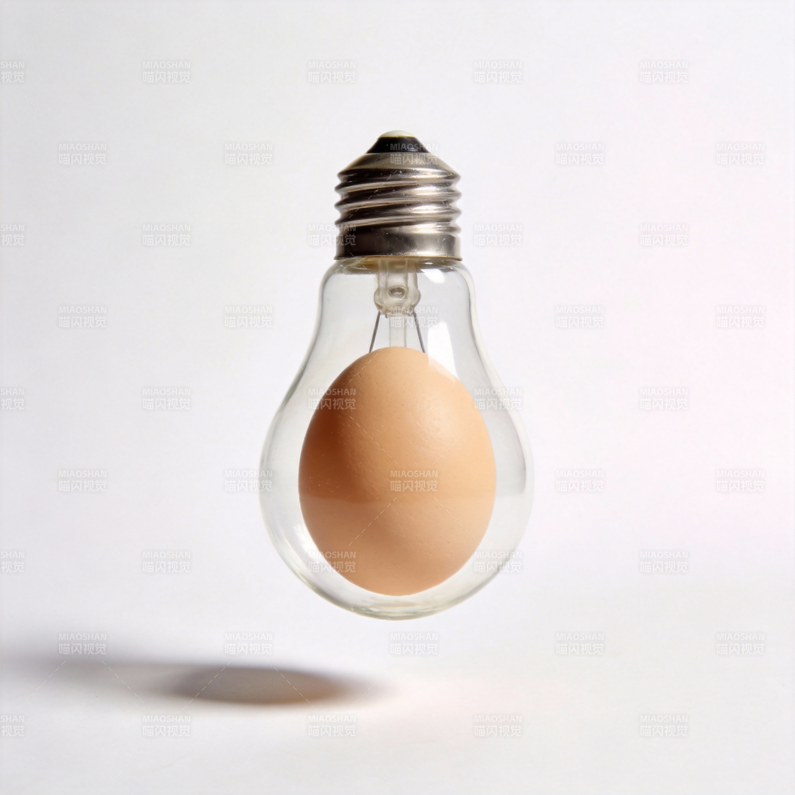 灯泡中的鸡蛋图片