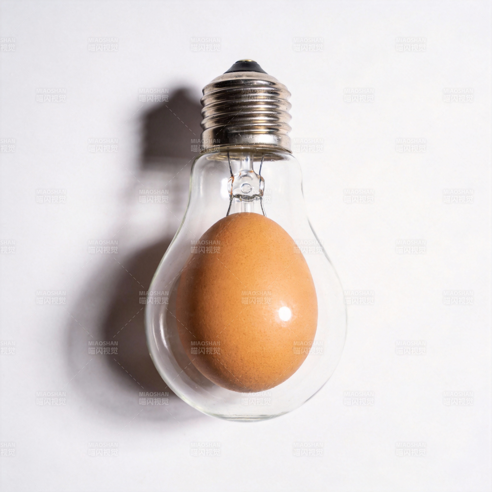 灯泡中的鸡蛋图片