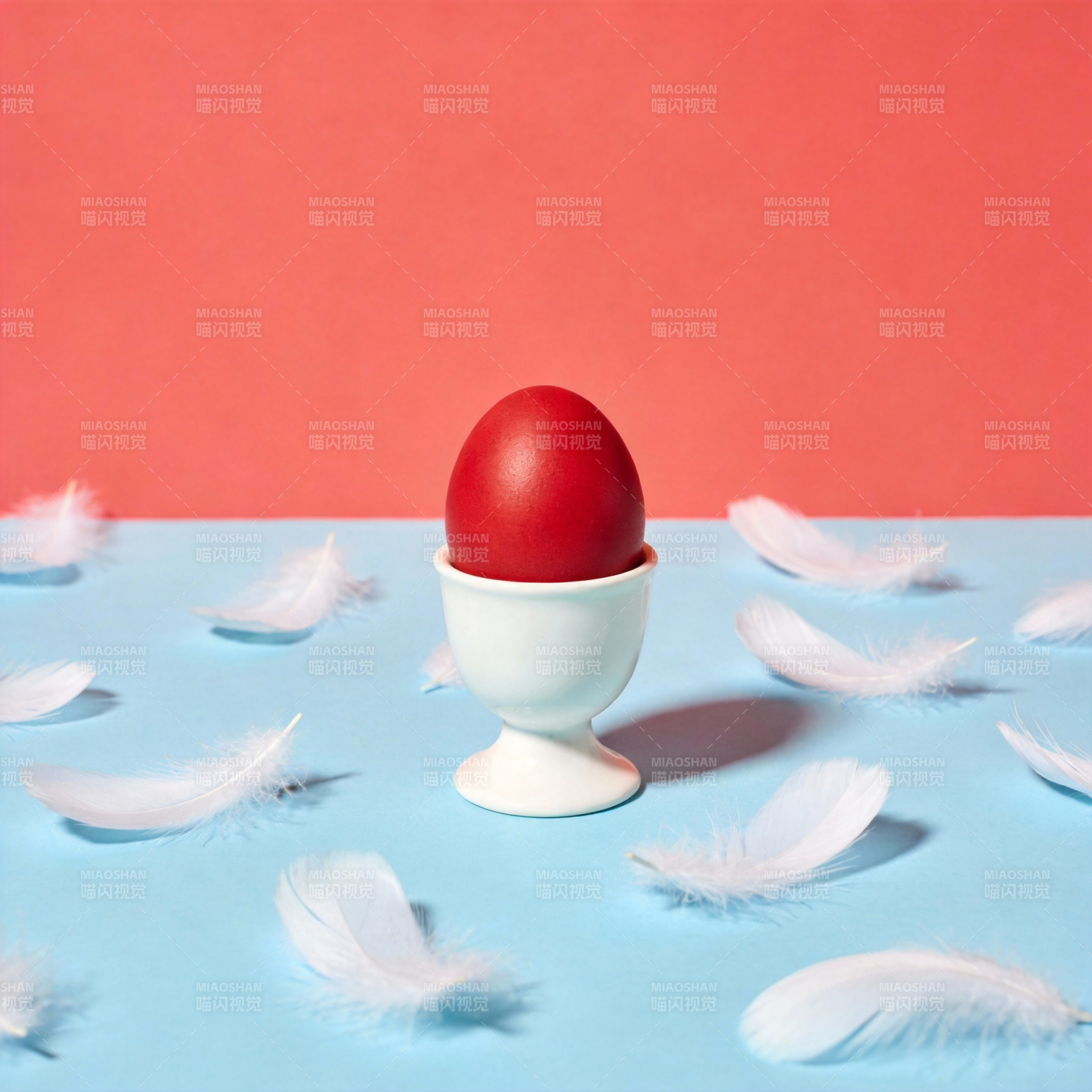 红蛋与白羽图片