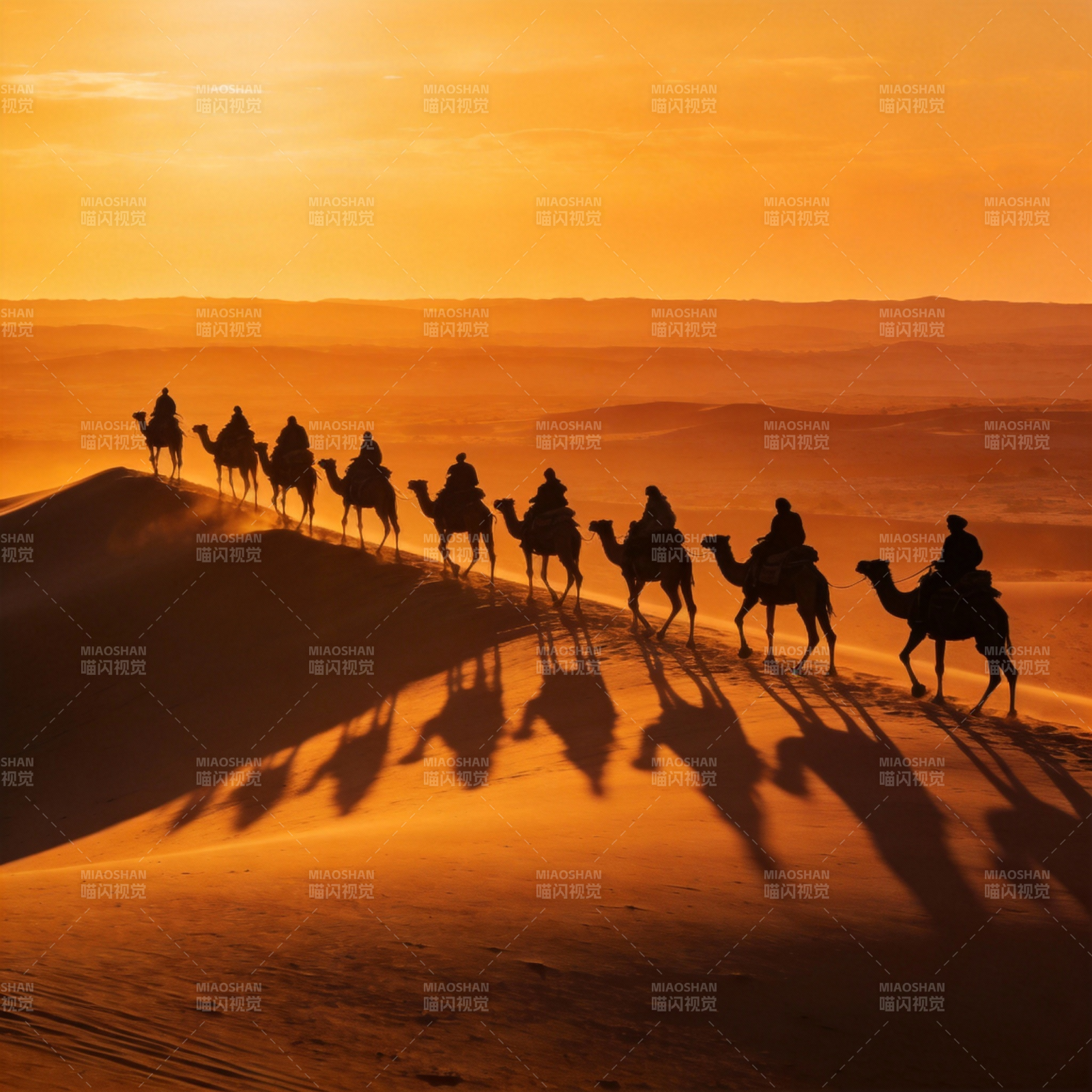 沙漠驼铃夕阳行图片