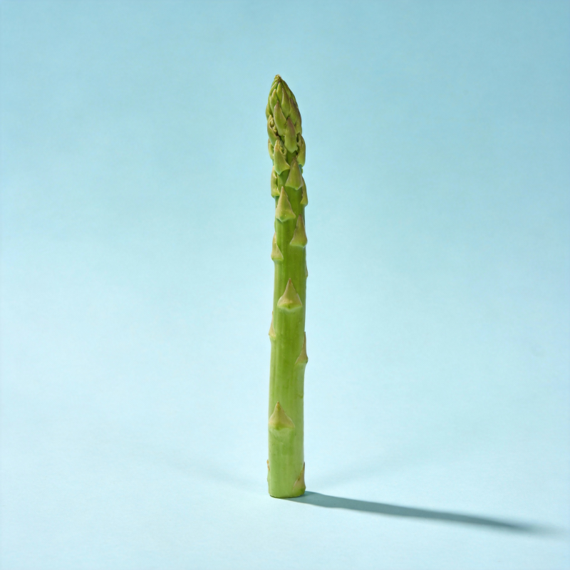 翠绿芦笋立影图片