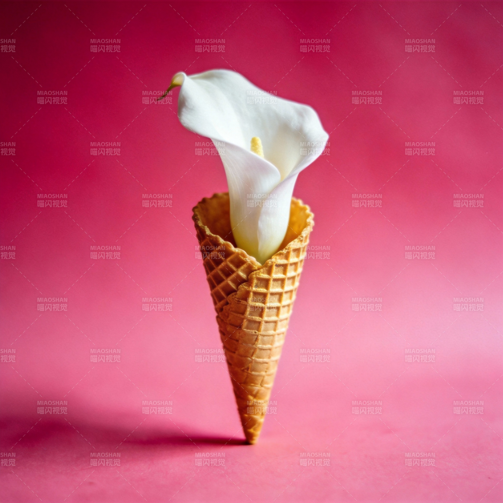 花在甜筒中图片