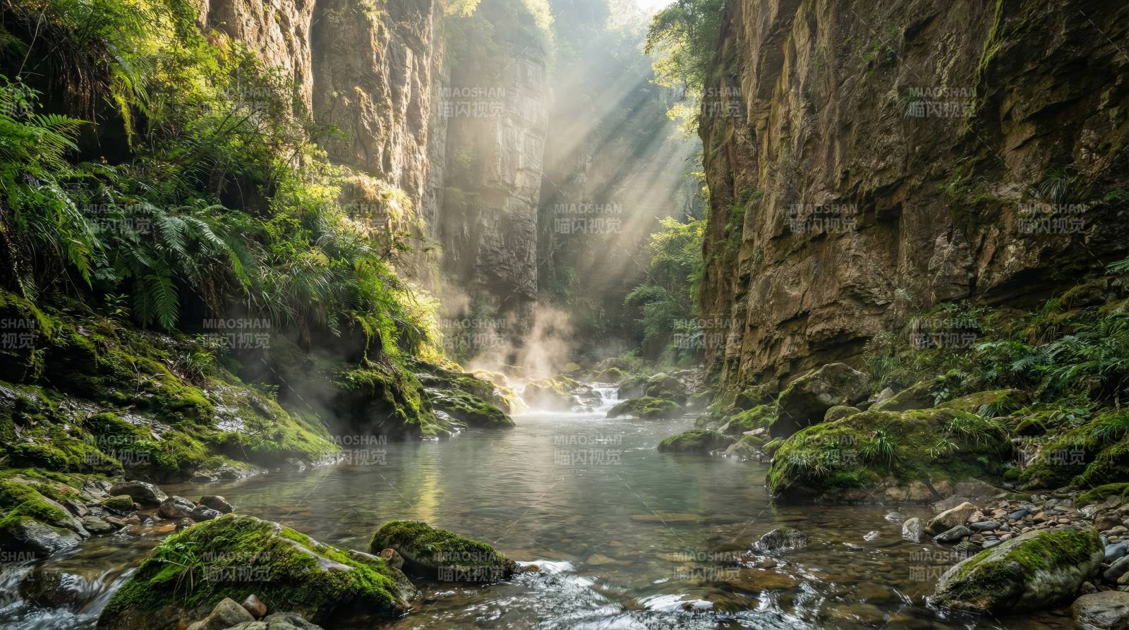 峡谷溪流光影图片