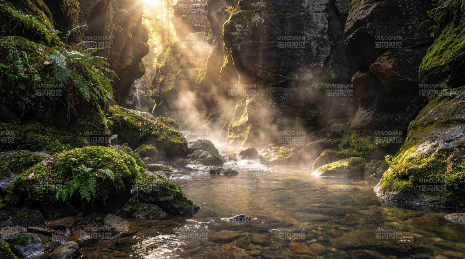 晨光穿透峡谷溪流图片