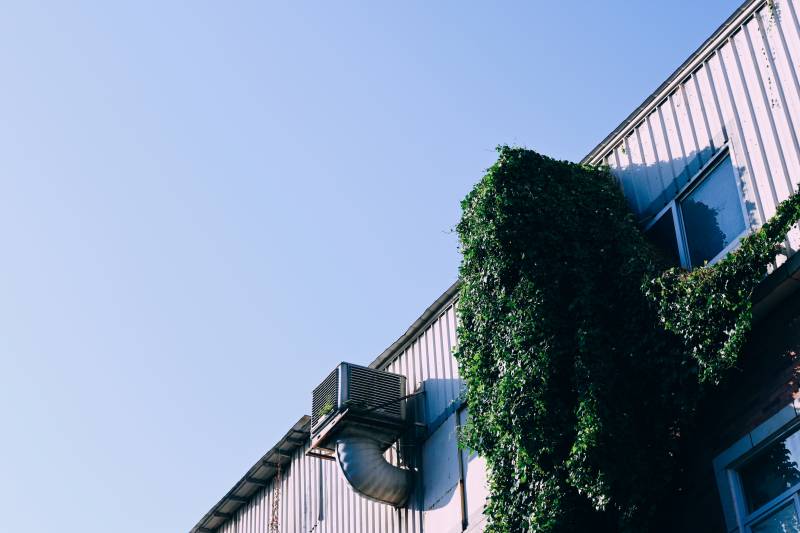 绿植攀爬的建筑角落图片