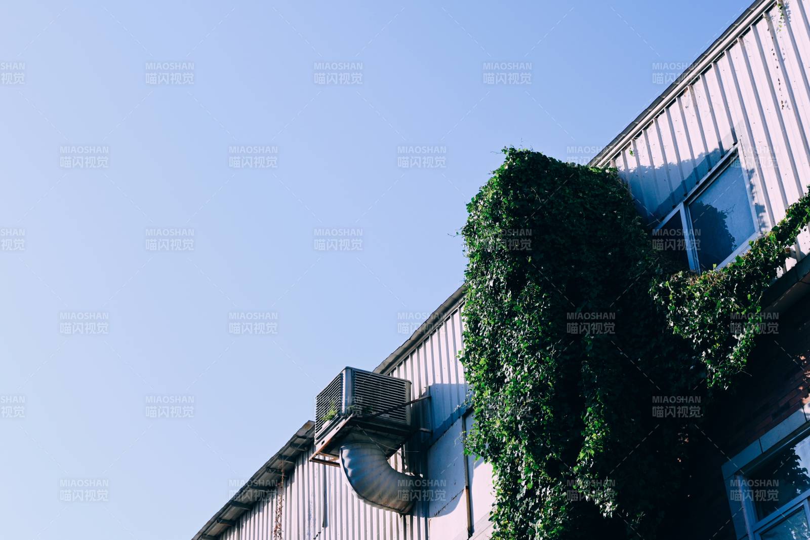 绿植攀爬的建筑角落图片