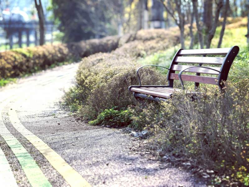 公园长椅静谧景图片