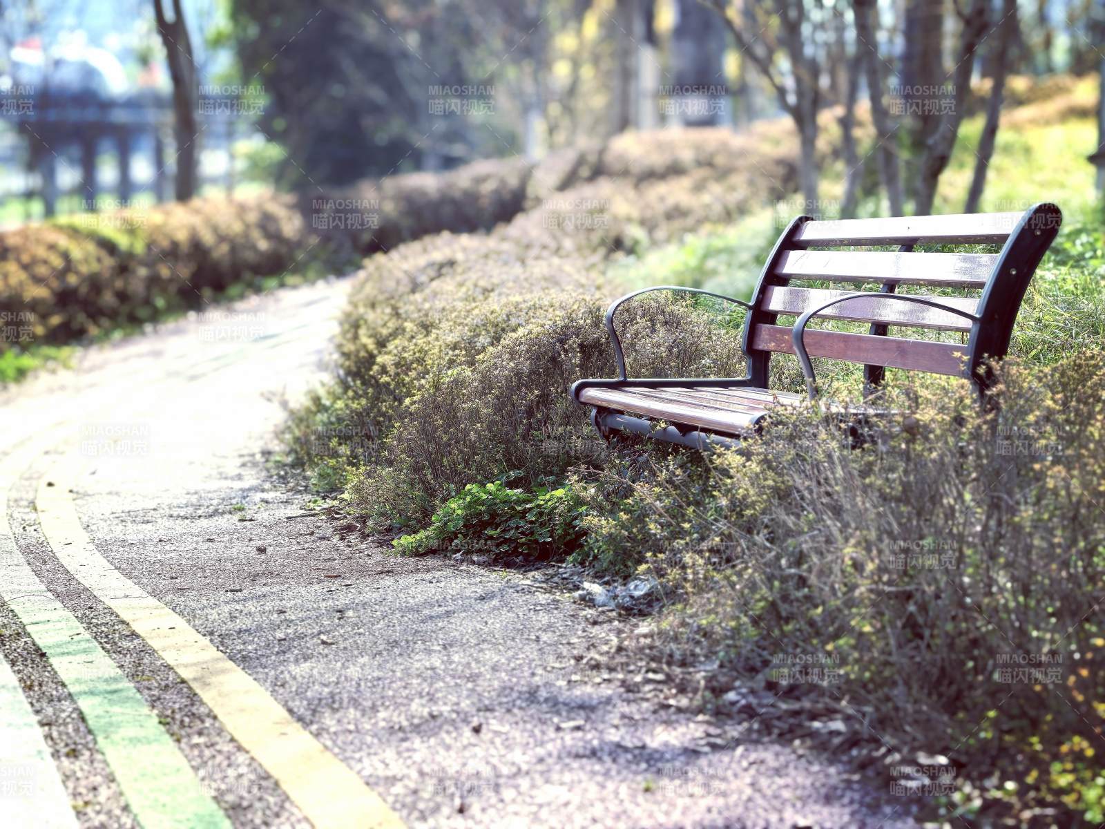 公园长椅静谧景图片