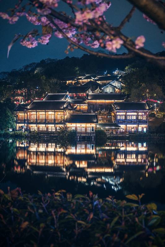 重庆园博园夜景图片