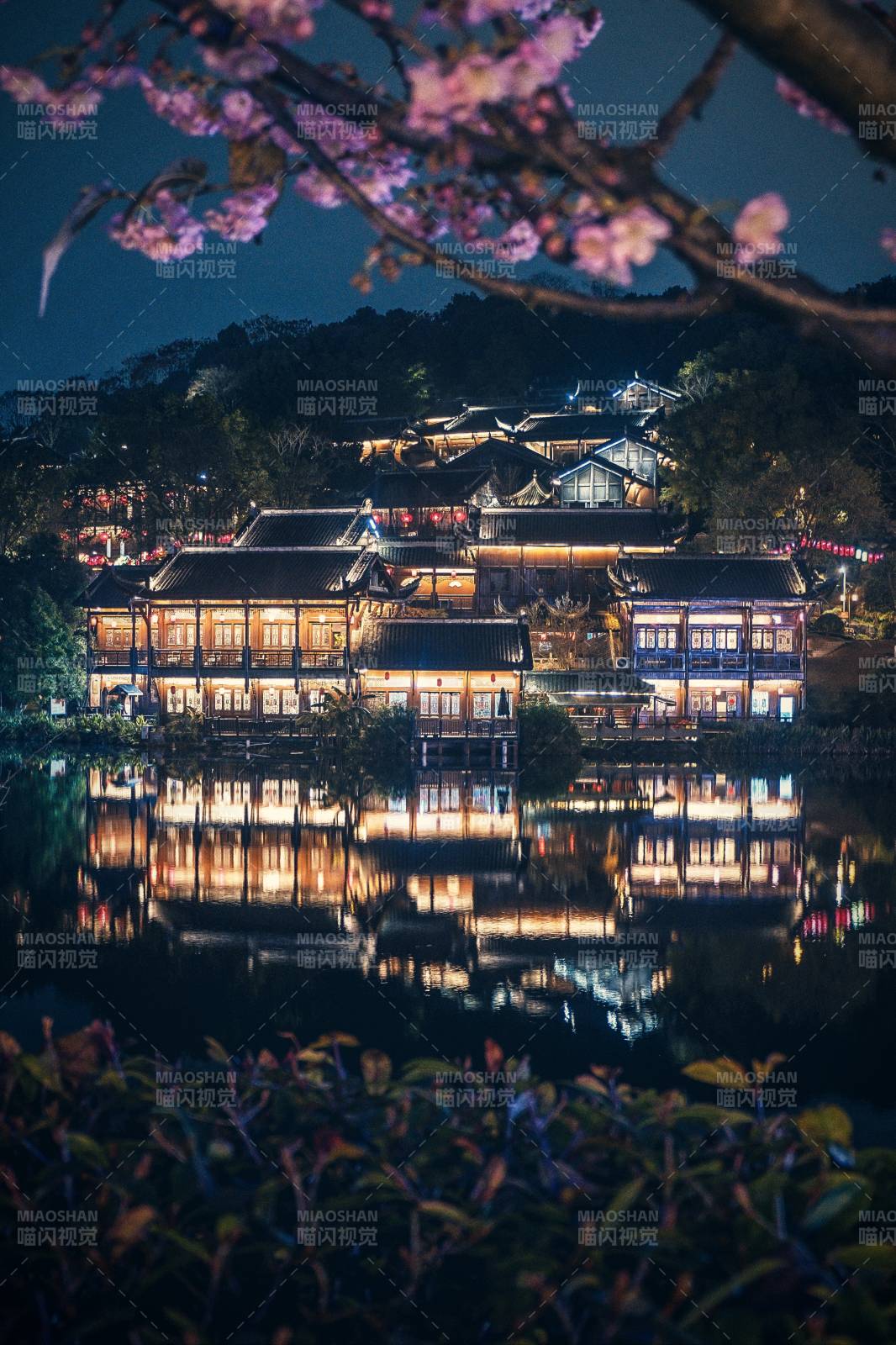 重庆园博园夜景图片