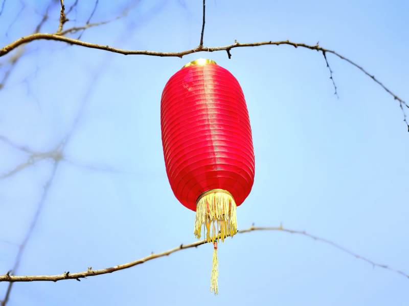 红灯笼挂枝头图片