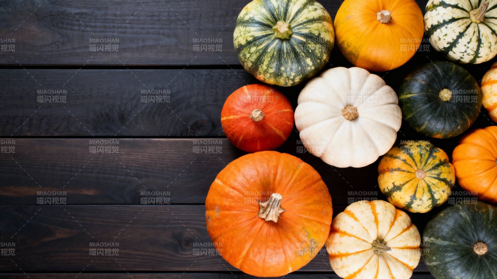 多彩南瓜秋日静物图片