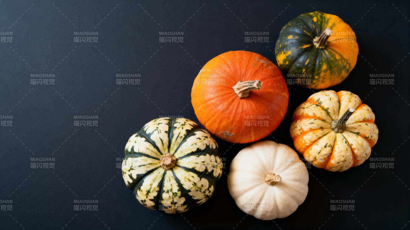 五彩南瓜静物图图片