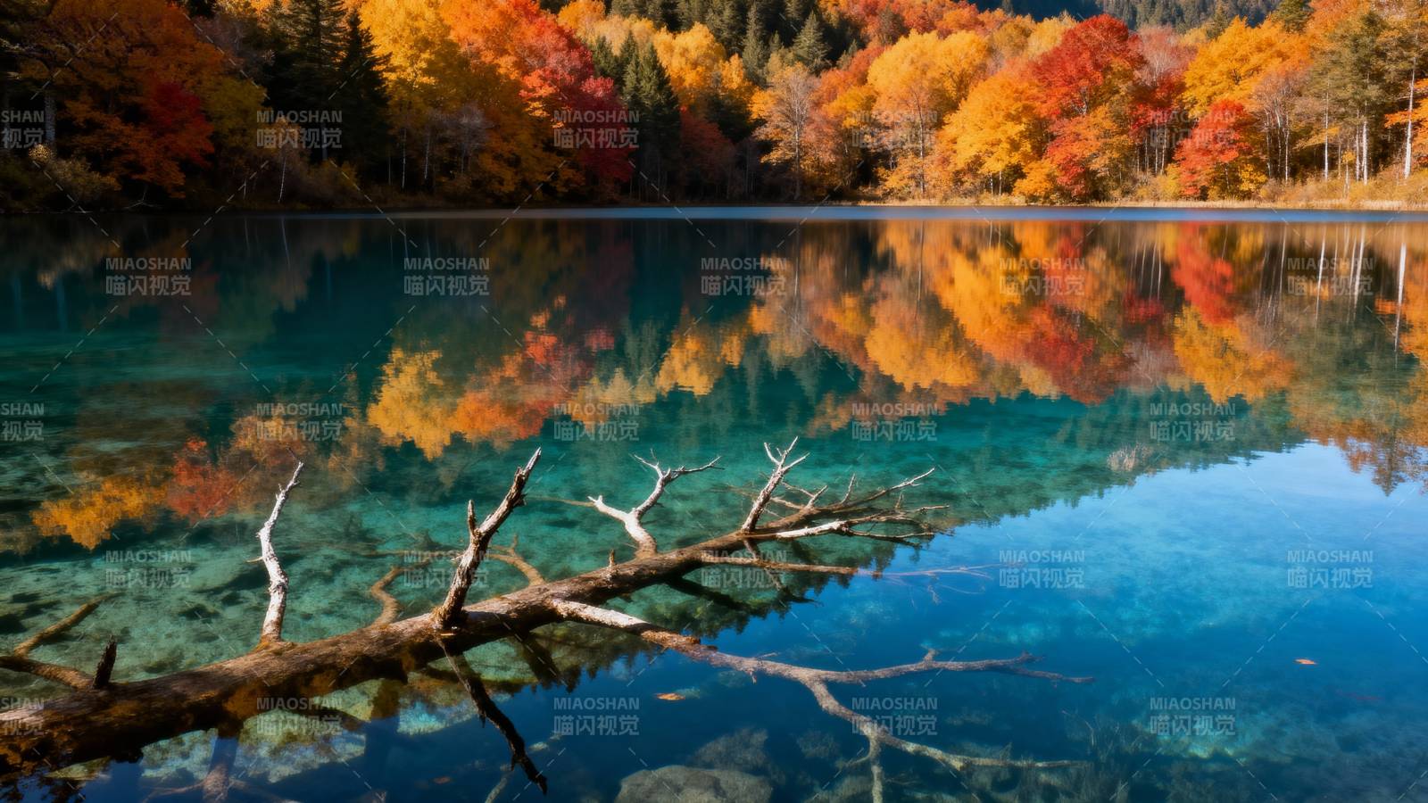 秋湖倒影 静谧如画图片