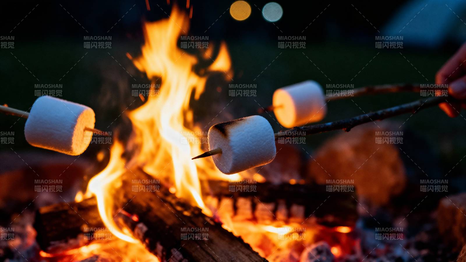篝火烤棉花糖图片
