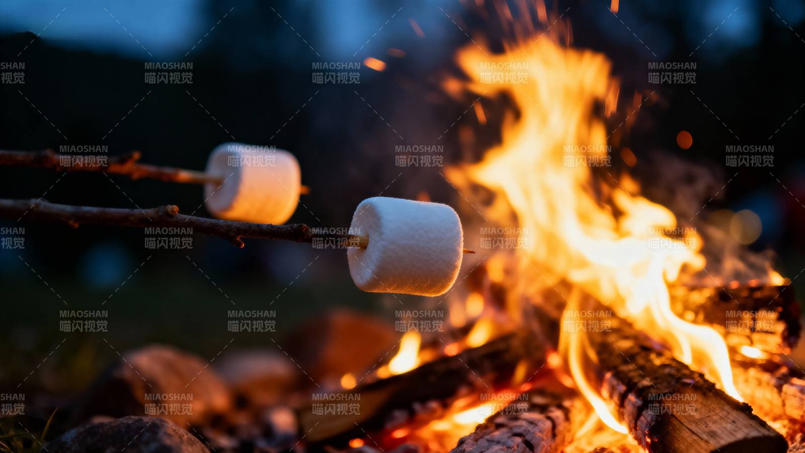 篝火烤棉花糖图片