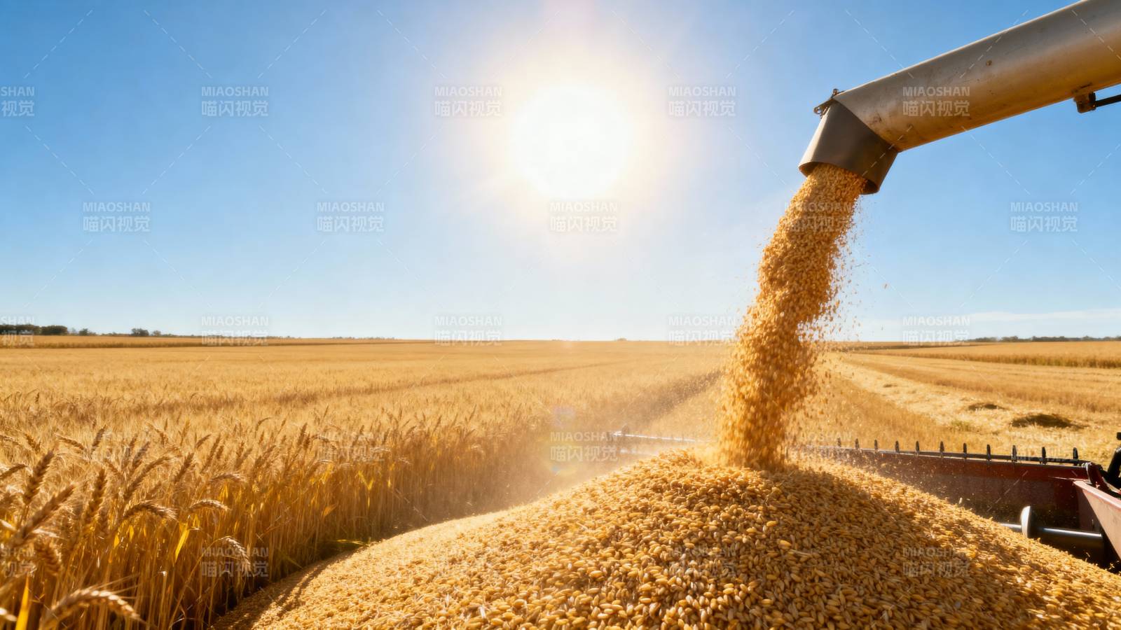 金秋丰收景象图片