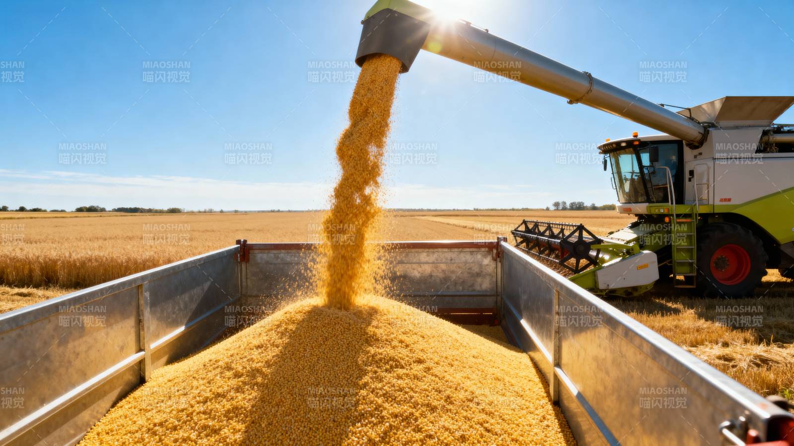 金秋丰收景象图片