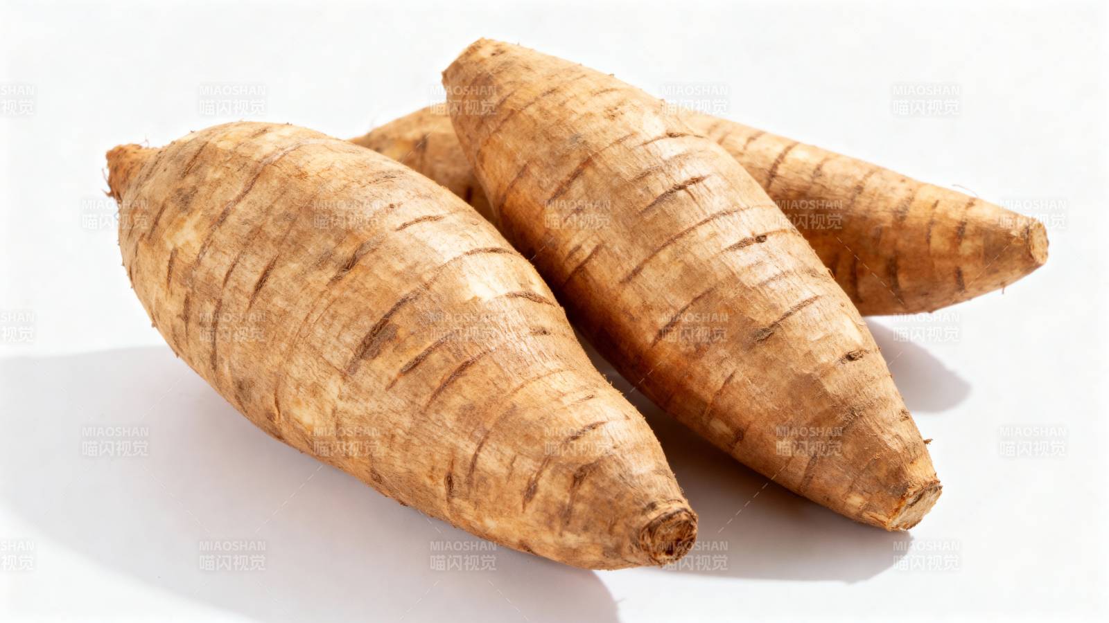 新鲜木薯根茎图片
