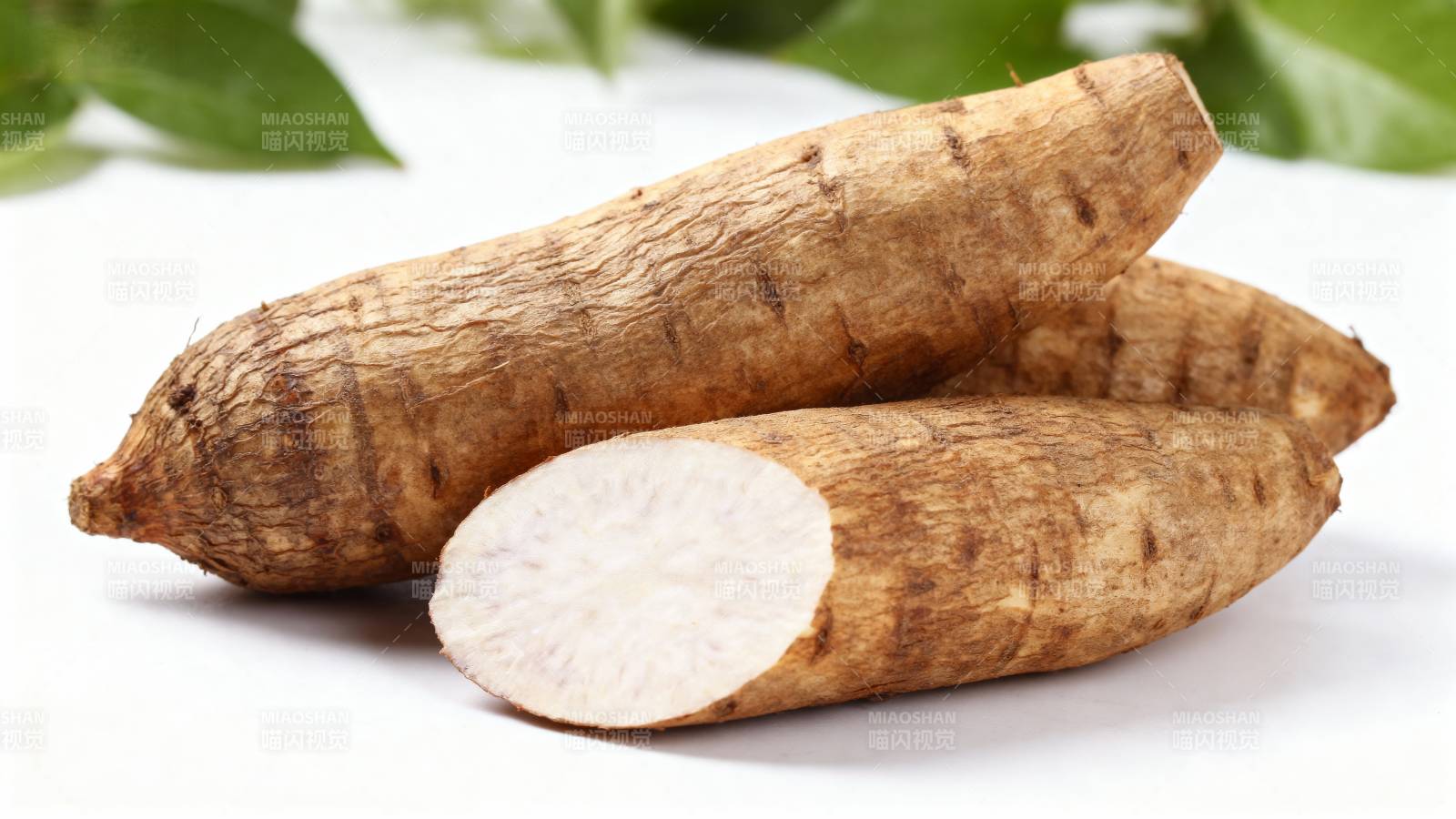 新鲜木薯特写图片