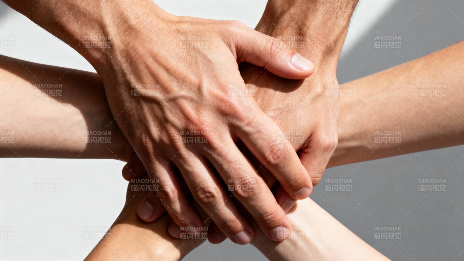 团结一心 携手共进图片