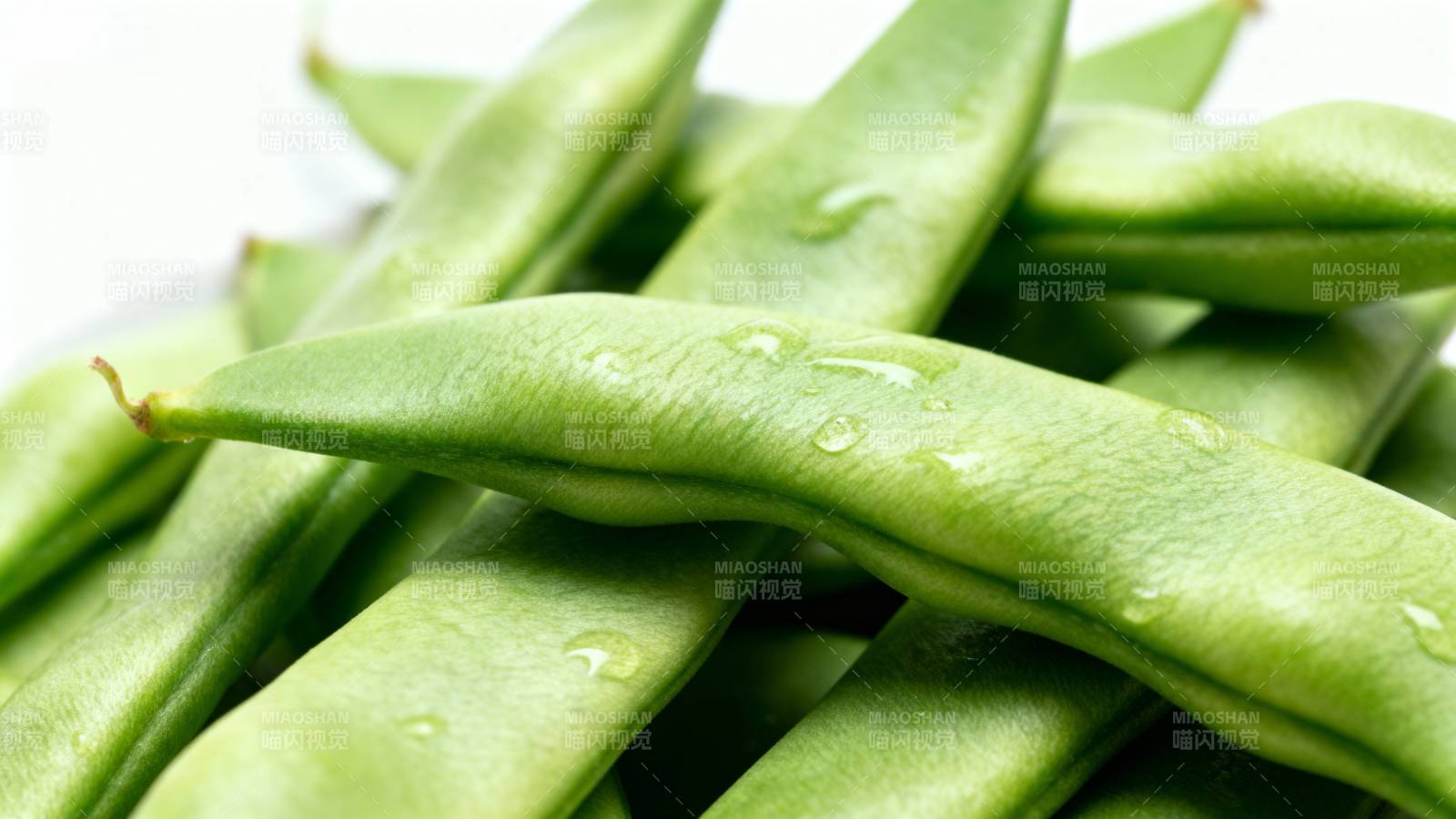 新鲜青豆荚特写图片