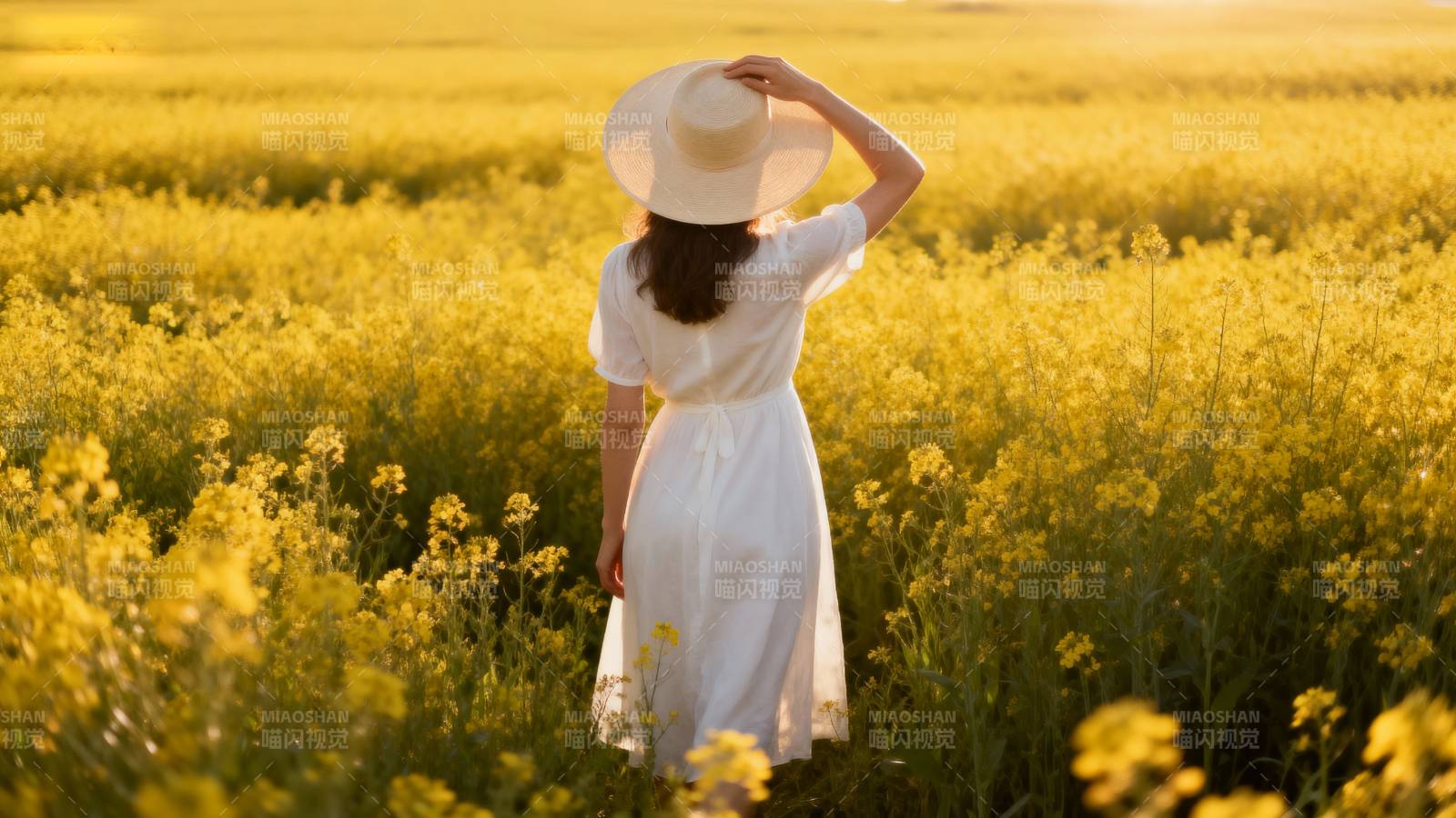 花海中的白衣女子图片