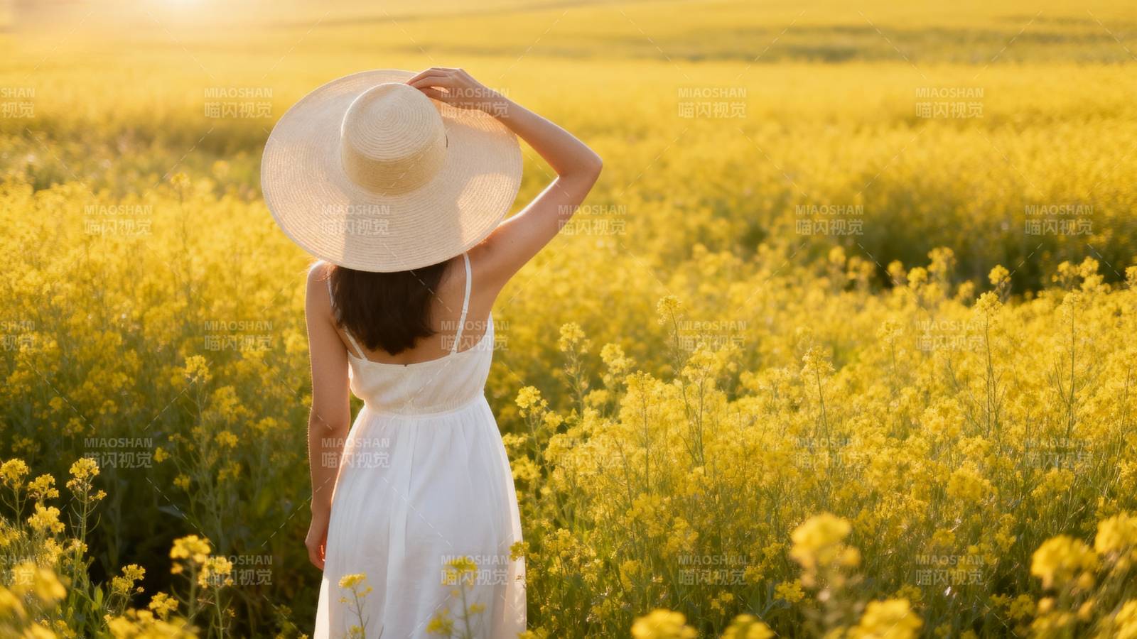 花海中的白衣女子图片