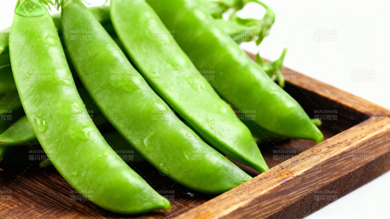 新鲜青豆荚图片